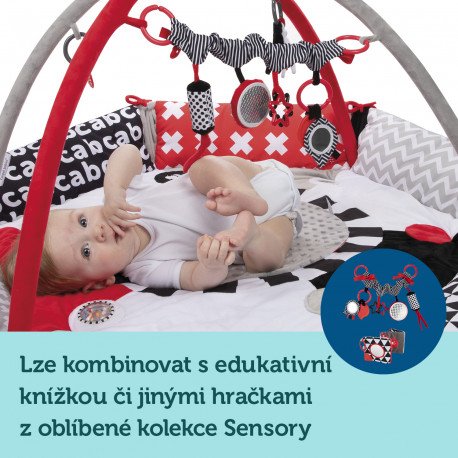 https://shop.malewo.cz/16189-large_default/canpol-babies-kontrastni-hraci-deka-sensory.jpg