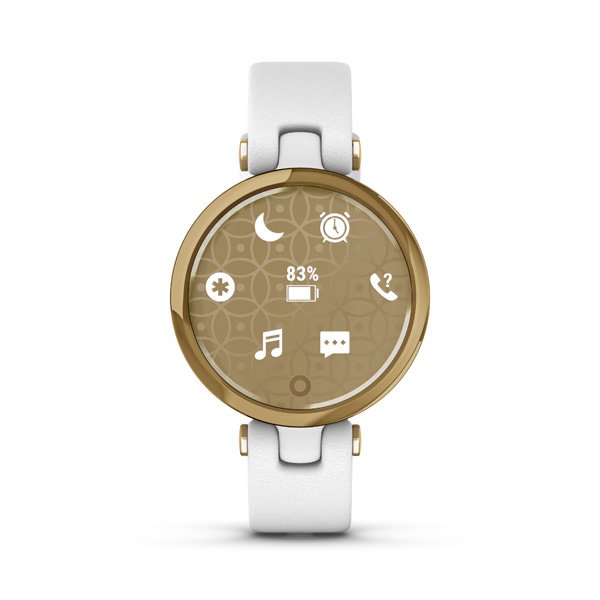 https://www.andreashop.sk/files/kat_img/GARMIN_LILY_CLASSIC_GOLD_WHITE_ITALIAN_LEATHER_010_02384_B3_4.jpg_OID_N4Y5H00101.jpg