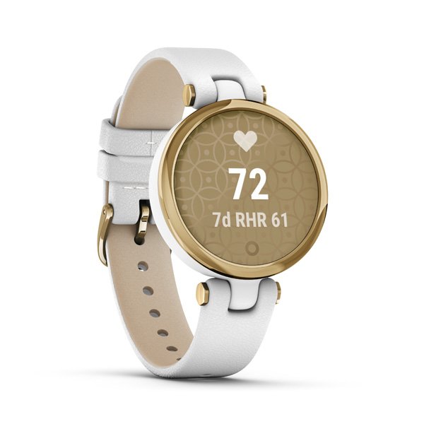 https://www.andreashop.sk/files/kat_img/GARMIN_LILY_CLASSIC_GOLD_WHITE_ITALIAN_LEATHER_010_02384_B3_5.jpg_OID_25Y5H00101.jpg