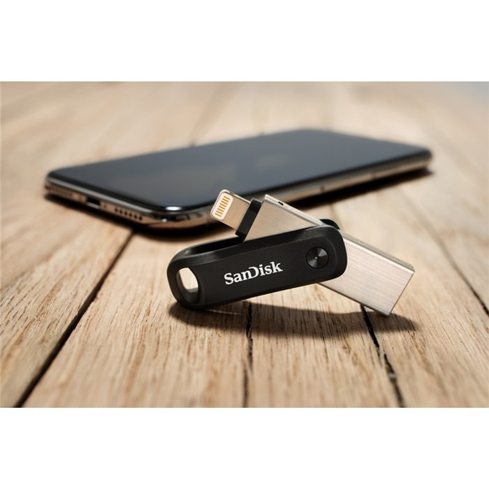  SanDisk 256GB iXpand Flash Drive Go for iPhone and iPad -  SDIX60N-256G-GN6NE, Black : Everything Else
